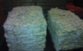 Pietruszka worek raszel 5 kg