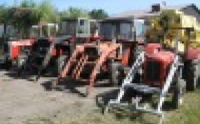 Ciągniki MF, kilka sztuk, różne modele, bardzo ładne