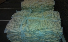 Pietruszka przemysłowa