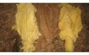 Liście tytoniu super gatunek w I klasie