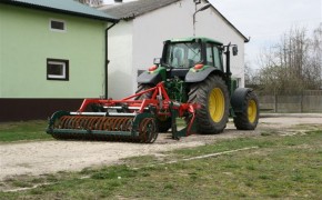 Łubin wąskolistny ZEUS