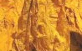 liscie tyton doskonala jakosc