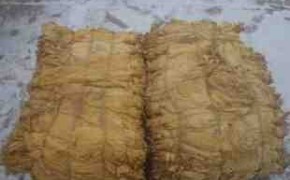 LIŚCIE TYTONIU 1 klasa TYTOŃ Mocny Burley Virginia