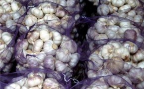 Warzywa i owoce z Egiptu