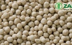 Salmag saletrzak CAN 27,5% azotu +Mg + Ca