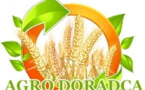 ŚRUTA RZEPAKOWA - 20 ton - TANIO