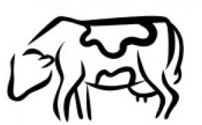 Korekcja Racic!!!!!!