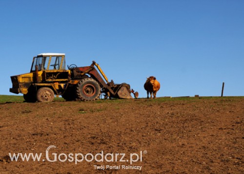 Obniżki cen ziem rolnych