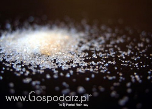 Niemcy -  Wprowadzono ograniczenia dla Polaków na cukier