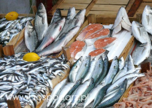 Egipt  - Kto na tym wszystkim naprawdę traci