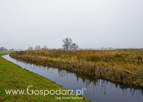 Rolnicy wreszcie upominają sie o swoje...