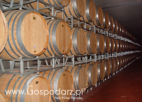 Informacja dla producentów i przedsiębiorców wyrabiających wino z winogron pochodzących z upraw winorośli położonych na terytorium Polski