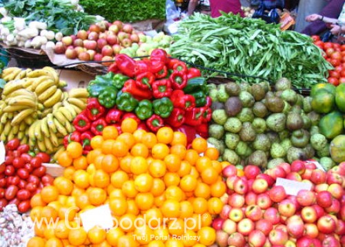 Międzynarodowe Targi Zielony Tydzień 2011 w Berlinie