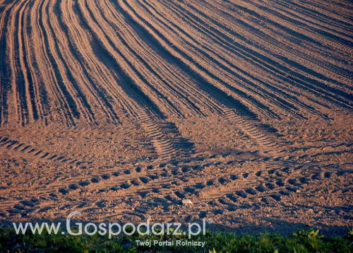 Agencja podsumowała 2010 rok