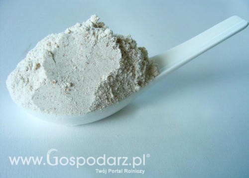 Krajowe ceny przetworów mlecznych