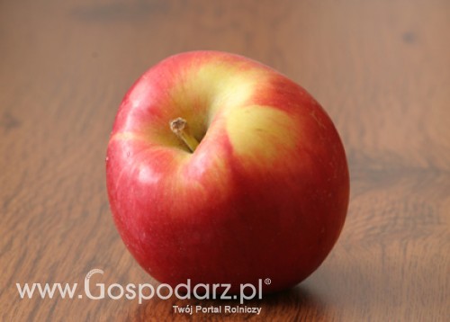 Stanowisko polskiego resortu rolnictwa w/s wypowiedzi czeskiego ministra rolnictwa