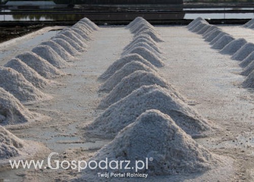 Komunikat Głównego Lekarza Weterynarii dotyczący stosowania przez niektórych przedsiębiorców soli wypadowej