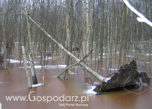 Komunikat ARiMR w sprawie podtopień