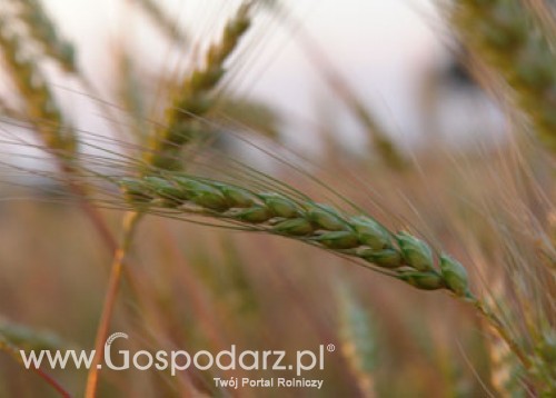 Posiedzenie Rady Ministrów Rolnictwa i Rybołówstwa UE