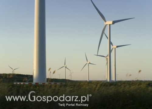 Wstępne dane dotyczące rolnictwa ekologicznego w Polsce w 2011 roku