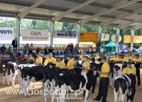 XIX Regionalna Wystawa Zwierząt Hodowlanych