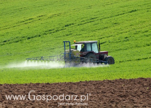 Wielkopolski Rolnik Roku 2011