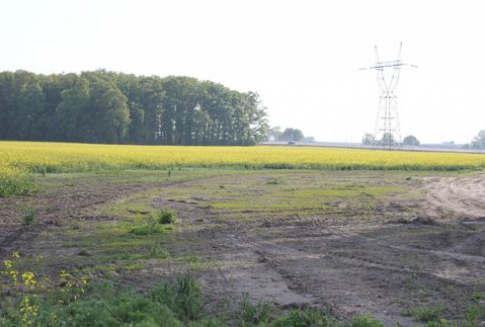 Komunikat Wielkopolskiej Izby Rolniczej w sprawie przetargów na sprzedaż nieruchomości rolnych Skarbu Państwa