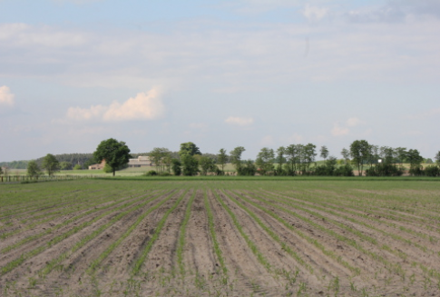 W 2012 roku najniższe ceny gruntów rolnych w Lubuskiem