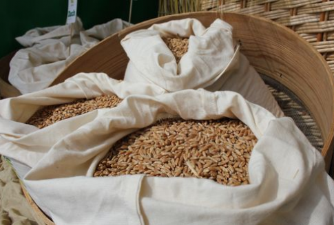 Prezydent podpisał ustawę o zmianie ustawy o paszach