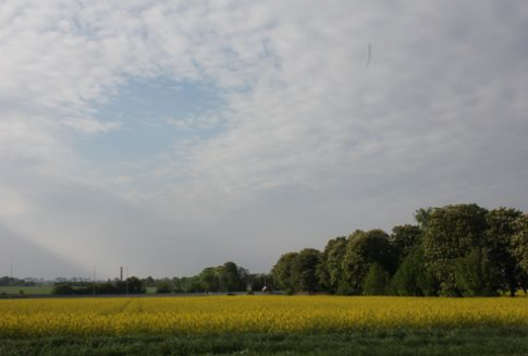 Tydzień na rynku oleistych (3.12.2012)