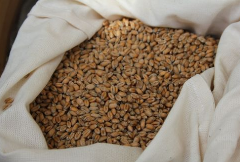 Krajowe ceny skupu zbóż