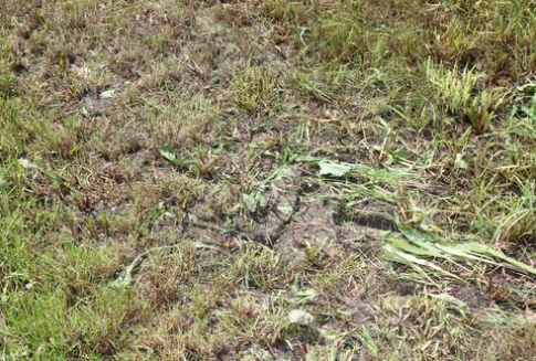 Rolnicy z Opolszczyzny wnioskują o blisko 85,2 mln zł kredytów preferencyjnych