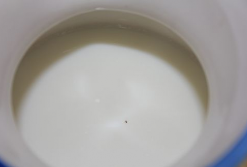 Ceny skupu mleka w Polsce (listopad 2012)