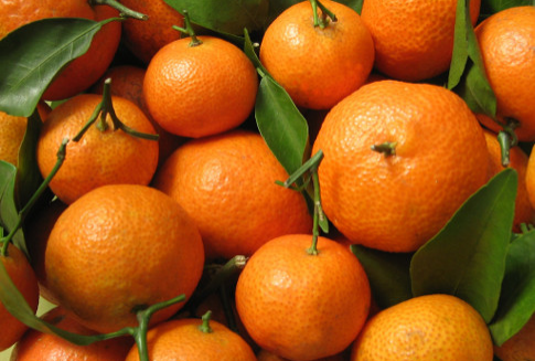 GUS – Jak odżywia się statystyczny Polak