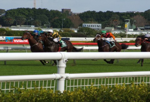 Wyścig o Nagrodę Ministra Rolnictwa i Rozwoju Wsi