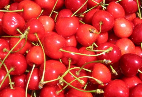 Chile – Rynek owoców pestkowych