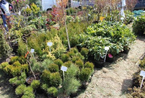 XII Targi Rolno-Ogrodnicze Przygodzice 2011