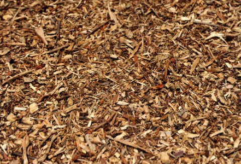 Biopaliwa nawet z wiórów