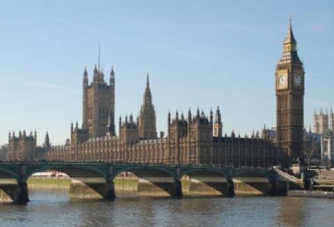 Wielka Brytania – Naukowcy  znaleźli sposób na pryszczycę