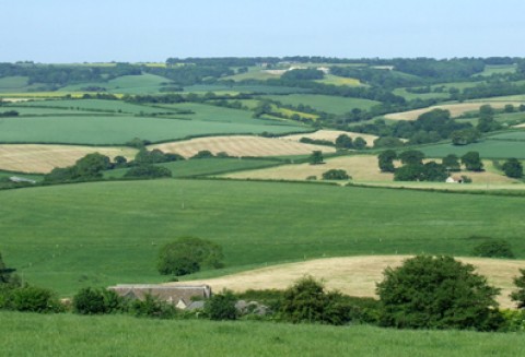 Wypłata wsparcia z tytułu ONW przebiega zgodnie z planem