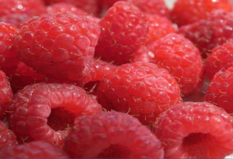 Komisja Europejska drastycznie obniża wsparcie dla wstępnie uznanych grup producentów owoców i warzyw