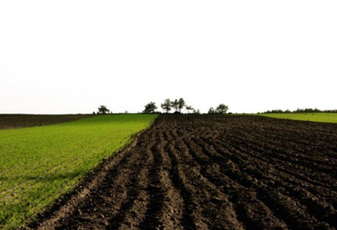 Konferencja „50 lat Wspólnej Polityki Rolnej - dobre wczoraj, lepsze jutro”