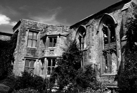 Wielkopolskie dworki znalazły właścicieli