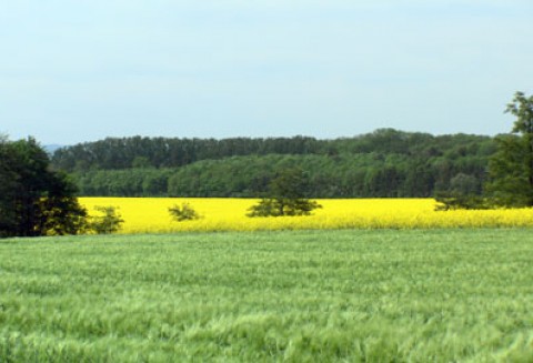XV Zgromadzenie Ogólne Związku Powiatów Polskich