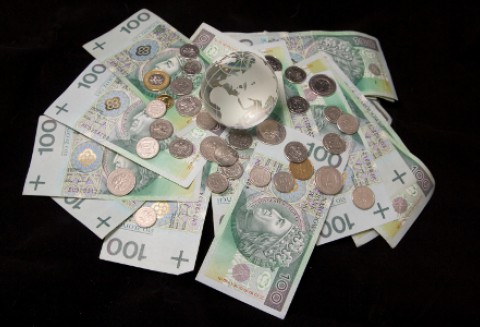 Polska apeluje o wyrównanie dopłat bezpośrednich dla wszystkich krajów członkowskich