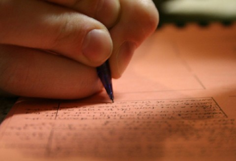 Lokalne Grupy Działania przyjmują wnioski o wsparcie inwestycji z PROW 2007-2013. W Polsce działa 336 takich grup.