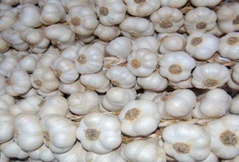 Kolejna chińska nazwa zarejestrowana w UE