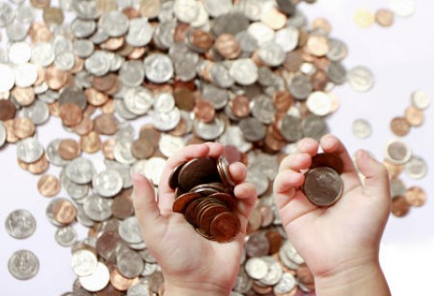 Zmiany w cenniku usług weterynaryjnych mogą wpłynąć na podwyżki cen mięsa