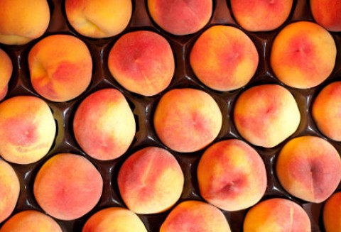 Hiszpania – Spadek zbiorów owoców pestkowych