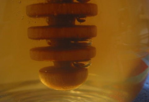 Udane zbiory miodu rzepakowego